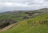 Rural estate for sale in Selaya ref: TR108538 photo