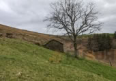 Rural estate for sale in Selaya ref: TR108538 photo