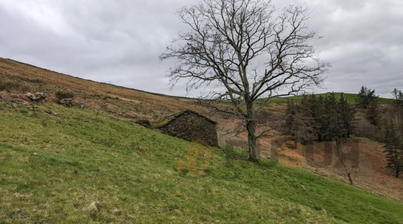 Cantabria - Bustantegua - 13600m2