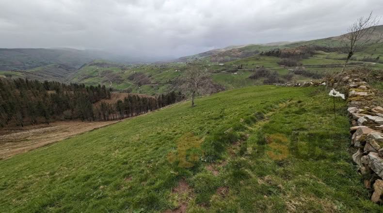 Cantabria - Bustantegua - 13600m2