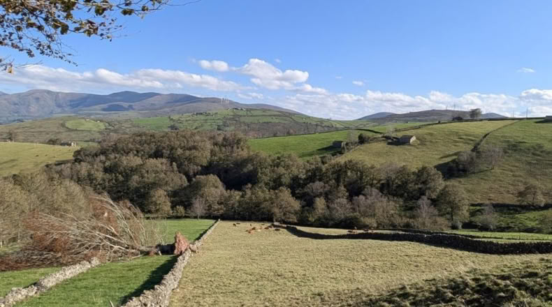 Cantabria - San Pedro del Romeral - 11000m2