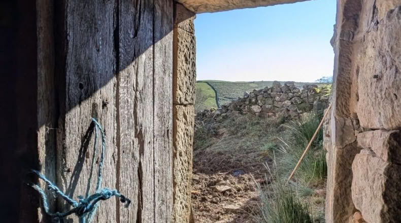 Cantabria - San Pedro del Romeral - 11000m2