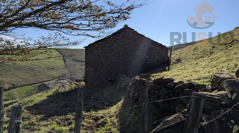 Cantabria - San Pedro del Romeral - 11000m2