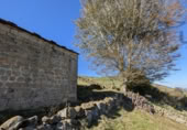 Finca rústica en venda a la España, San Pedro del Romeral, ref.: TR182518 foto
