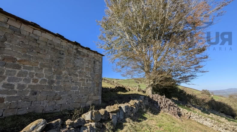 Cantabria - San Pedro del Romeral - 11000m2