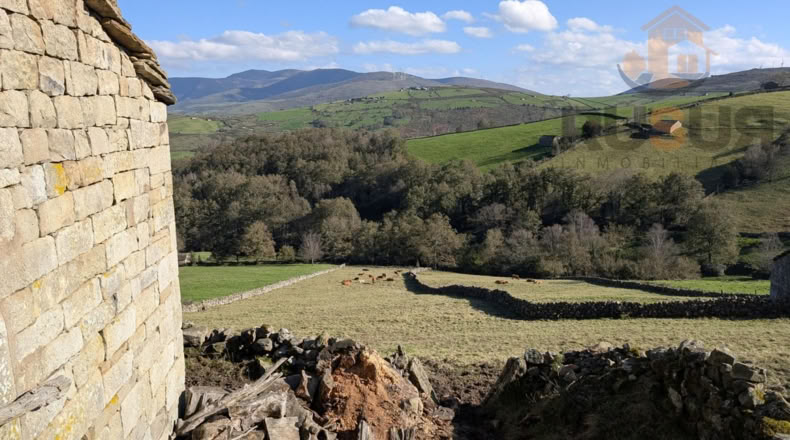 Cantabria - San Pedro del Romeral - 11000m2