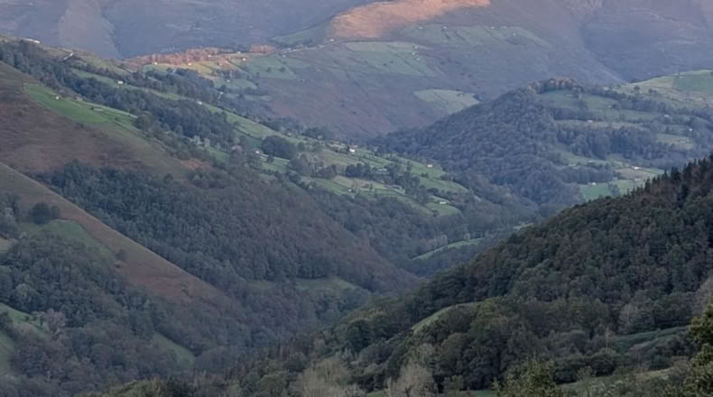 Cantabria - San Pedro del Romeral - 11000m2