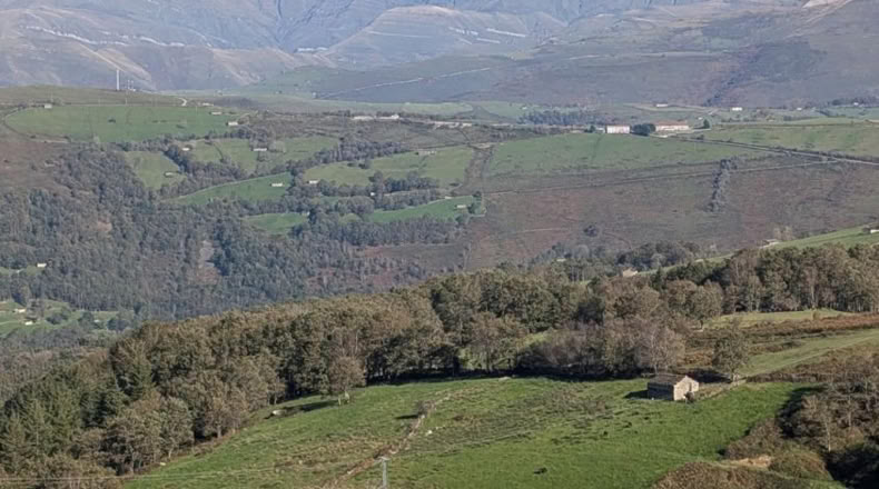 Cantabria - San Pedro del Romeral - 11000m2
