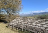 Finca rústica en venda a la España, San Pedro del Romeral, ref.: TR182518 foto