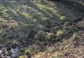 Finca rústica en venda a la España, San Pedro del Romeral, ref.: TR182518 foto