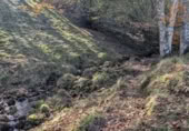 Finca rústica en venda a la España, San Pedro del Romeral, ref.: TR182518 foto