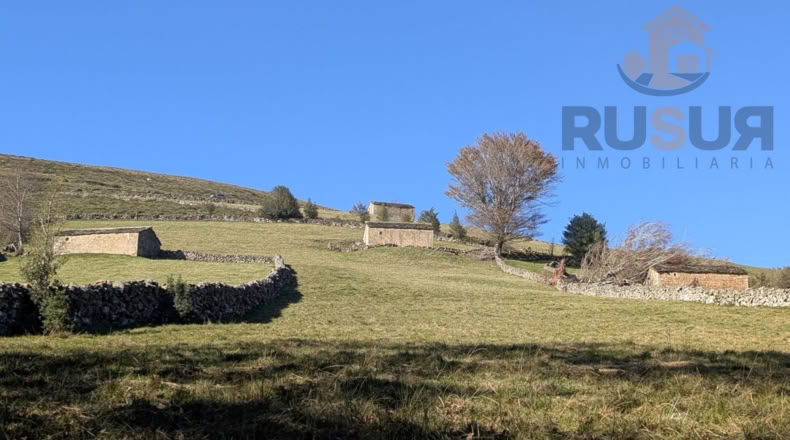 Cantabria - San Pedro del Romeral - 11000m2