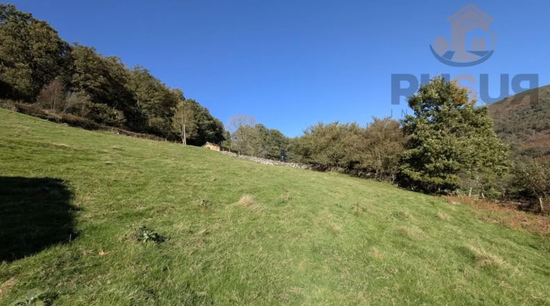 Cantabria - Bustiyerro-El Rosario - 4200m2