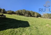 Finca rústica en venda a la España, San Pedro del Romeral, ref.: TR182502 foto
