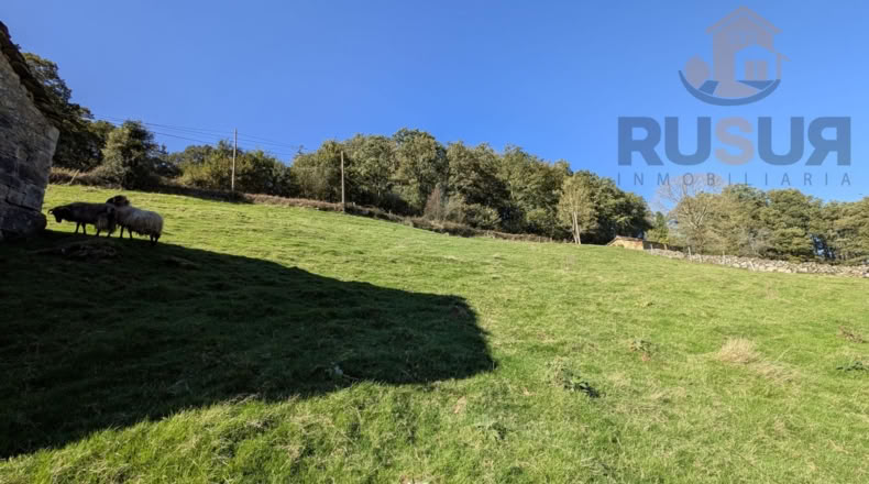 Cantabria - Bustiyerro-El Rosario - 4200m2