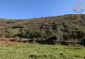 Finca rústica en venda a la España, San Pedro del Romeral, ref.: TR182502 foto