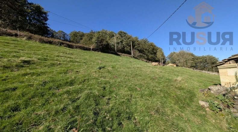 Cantabria - Bustiyerro-El Rosario - 4200m2