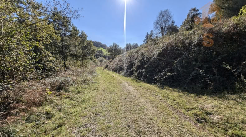 Cantabria - Bustiyerro-El Rosario - 4200m2
