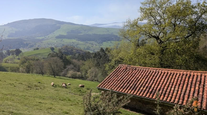 Cantabria - Villafufre - 18500m2
