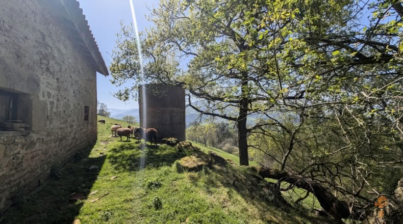 Cantabria - Villafufre - 18500m2