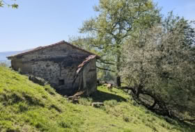 Foto 13