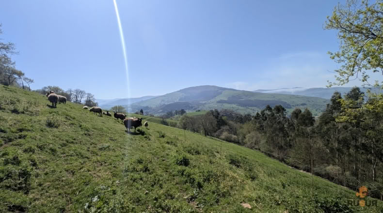 Cantabria - Villafufre - 18500m2