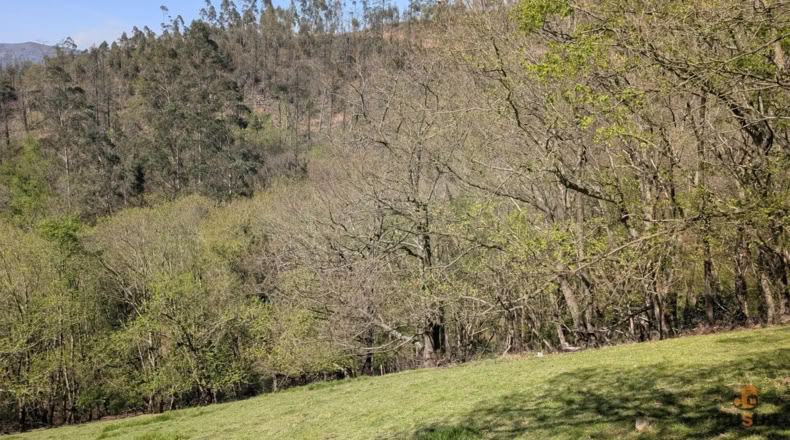 Cantabria - Villafufre - 18500m2
