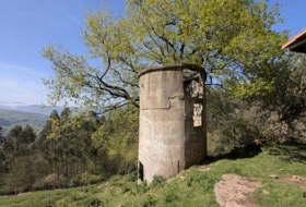 Foto 17