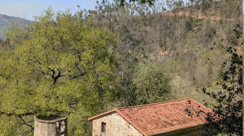 Cantabria - Villafufre - 18500m2