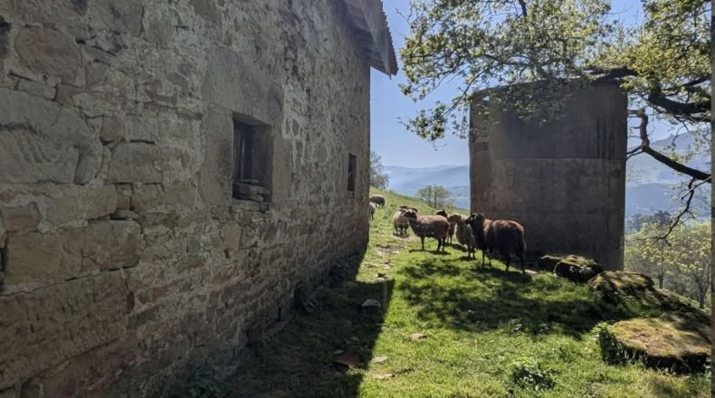 Cantabria - Villafufre - 18500m2