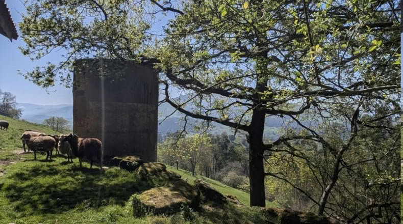 Cantabria - Villafufre - 18500m2