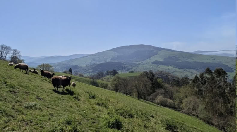 Cantabria - Villafufre - 18500m2