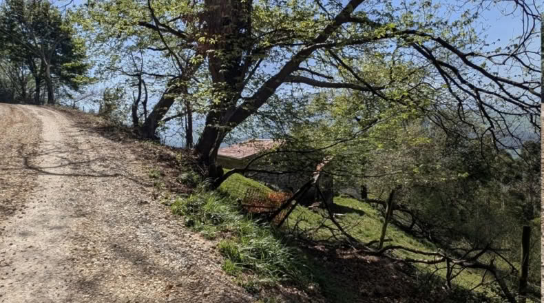Cantabria - Villafufre - 18500m2