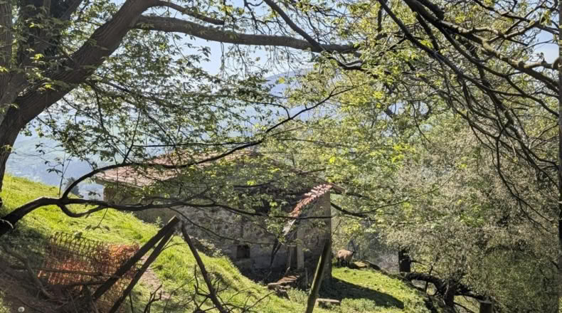 Cantabria - Villafufre - 18500m2