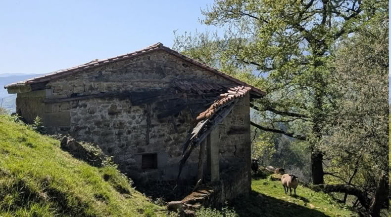 Cantabria - Villafufre - 18500m2