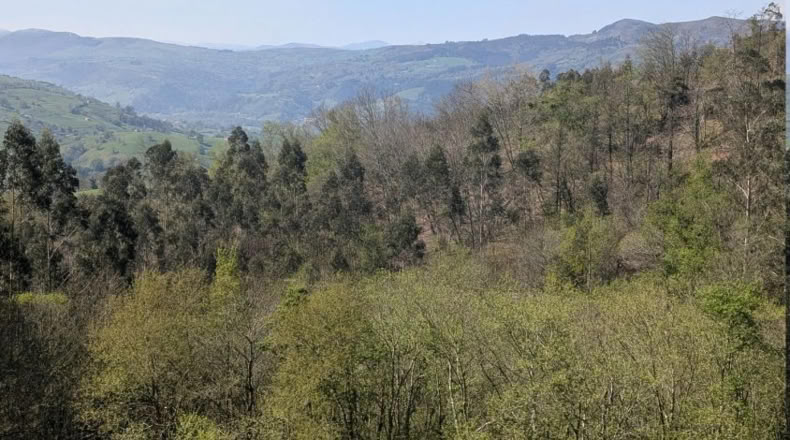 Cantabria - Villafufre - 18500m2