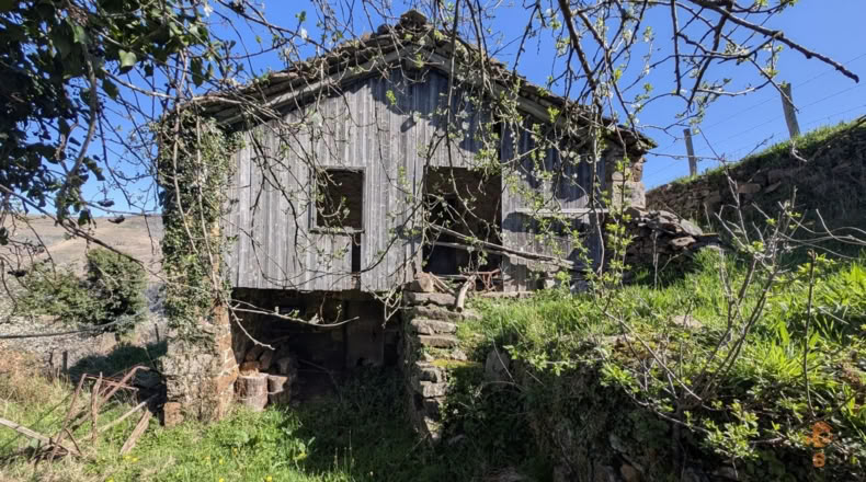 Cantabria - San Pedro del Romeral - 8000m2