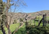 Finca rústica en venda a la España, San Pedro del Romeral, ref.: TR263234 foto