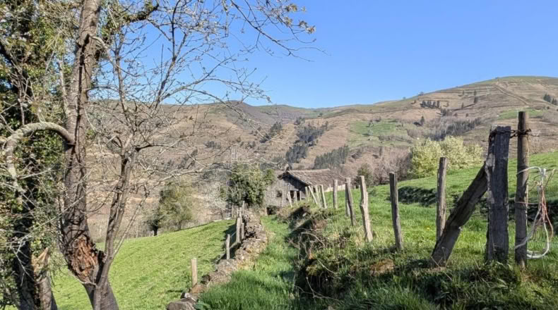 Cantabria - San Pedro del Romeral - 8000m2