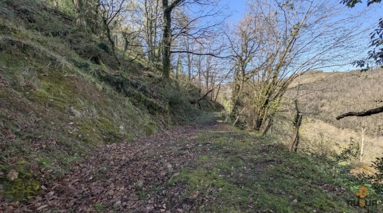 Cantabria - San Pedro del Romeral - 8000m2