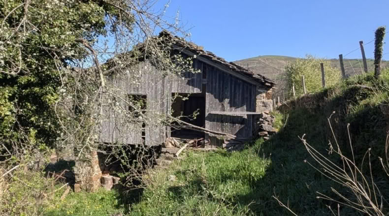 Cantabria - San Pedro del Romeral - 8000m2