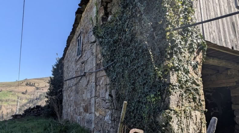 Cantabria - San Pedro del Romeral - 8000m2