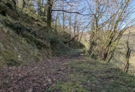 Foto 19