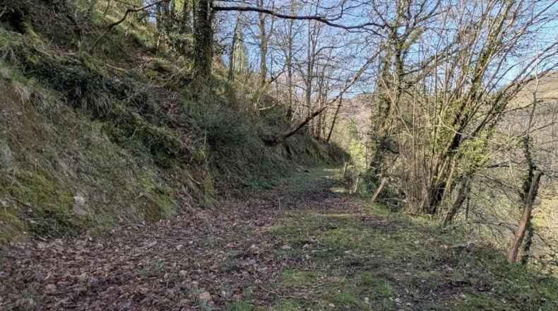 Cantabria - San Pedro del Romeral - 8000m2