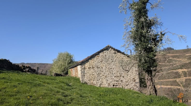 Cantabria - San Pedro del Romeral - 17500m2