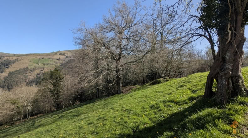 Cantabria - San Pedro del Romeral - 17500m2