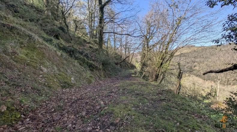 Cantabria - San Pedro del Romeral - 17500m2