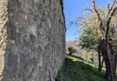 Finca rústica en venda a la España, San Pedro del Romeral, ref.: TR255553 foto