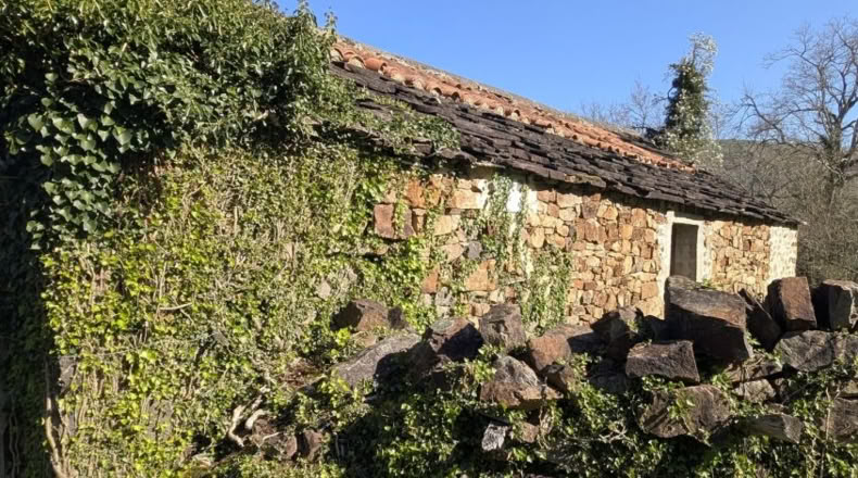 Cantabria - San Pedro del Romeral - 17500m2