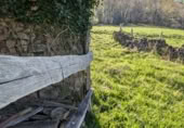 Finca rústica en venda a la España, San Pedro del Romeral, ref.: TR255553 foto